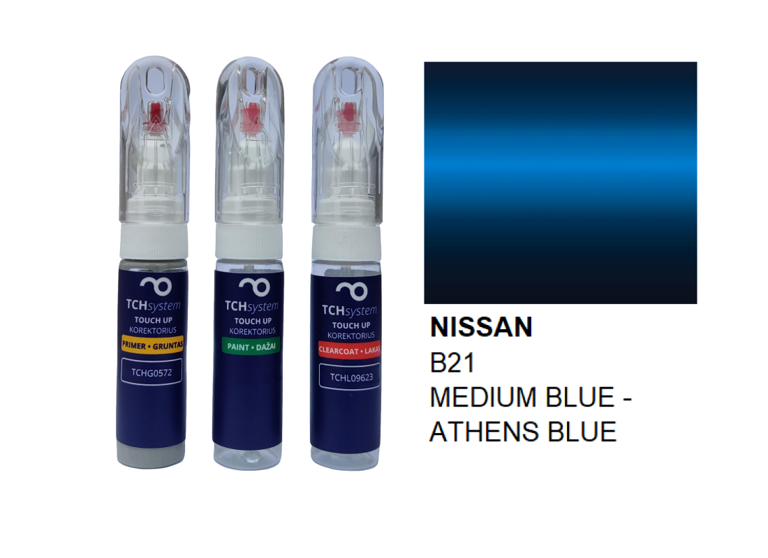 NIS B21
