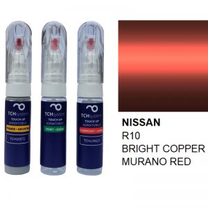 NIS R10