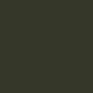 RAL6031-F9